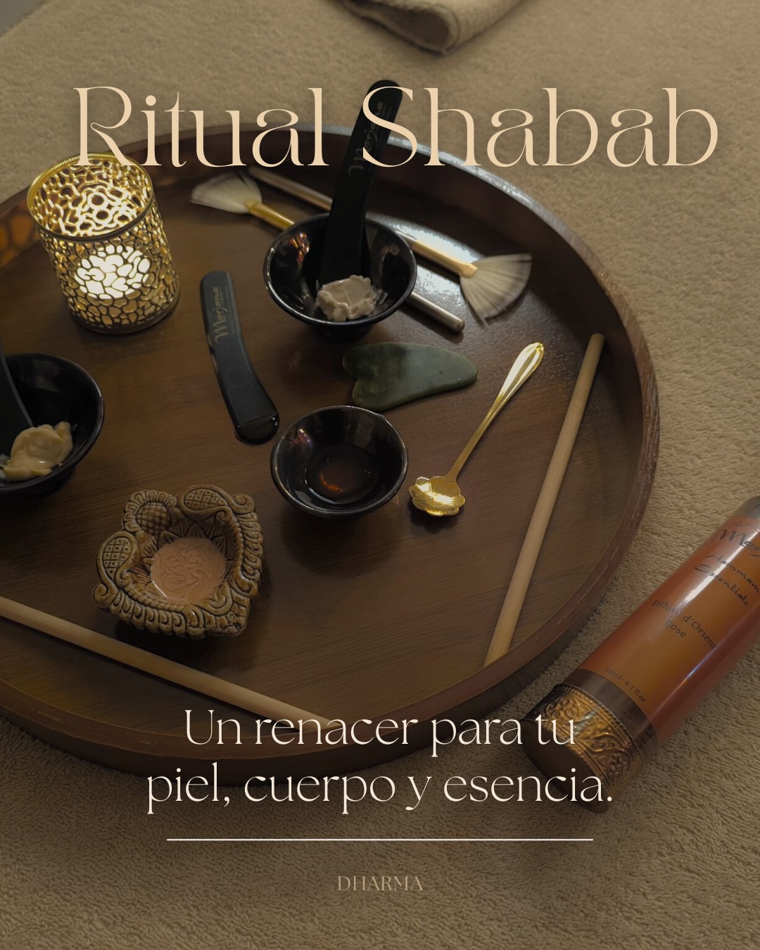 f14dfa8d b9c7 49bb 86b5 13da1a57b243